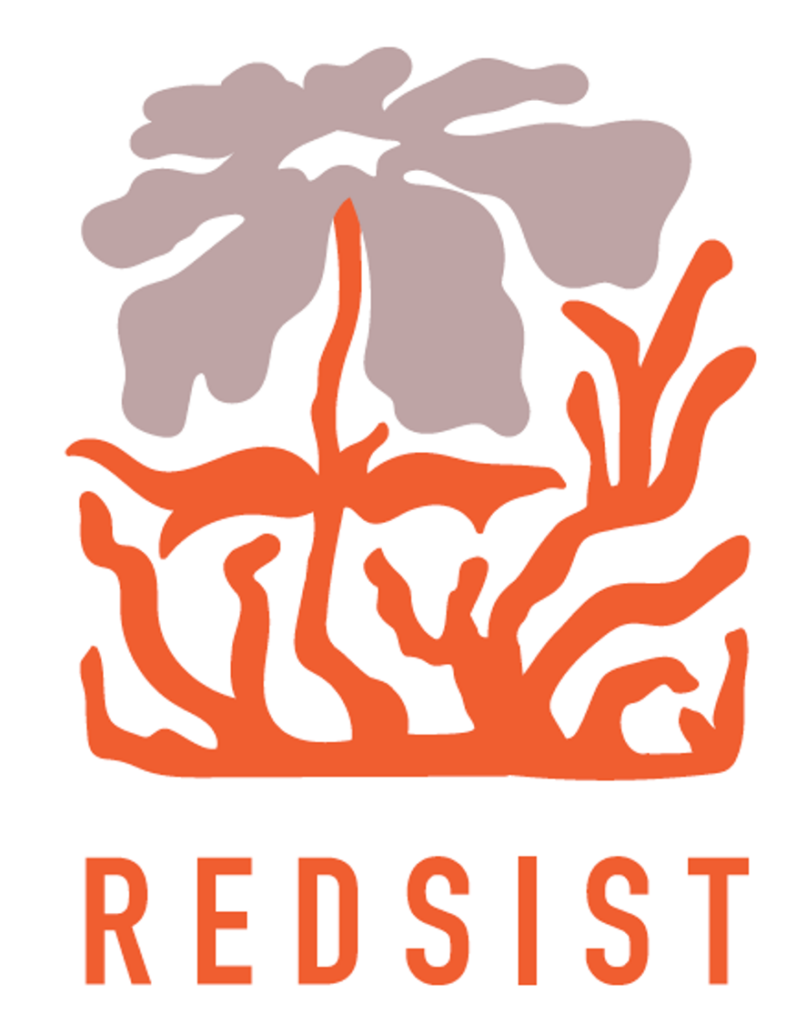 redsist logo